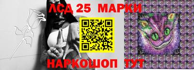 гидропоника Кумертау