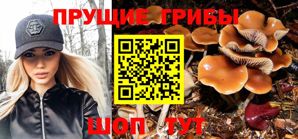 Псилоцибиновые грибы Psilocybine cubensis  Псилоцибиновые грибы Magic Shrooms  Калач-на-Дону  Вход с VPN 